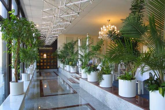 Hotel Olympik Artemis **** foto 40