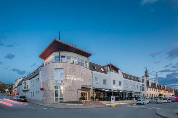 Amande Wine Wellness Hotel foto 3