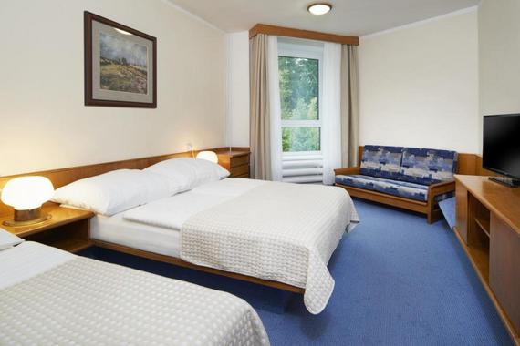 Wellness Hotel Svornost foto 15