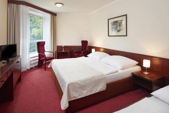 Wellness Hotel Svornost foto 23