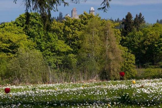 Parkhotel – Šumavské bylinné lázně foto 63