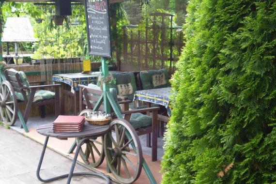 Pension a restaurant VESNA foto 9
