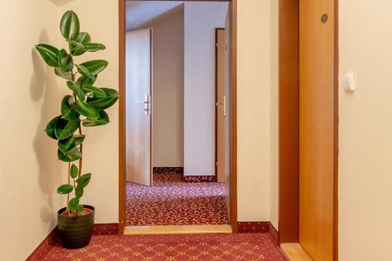 Hotel Romania foto 37