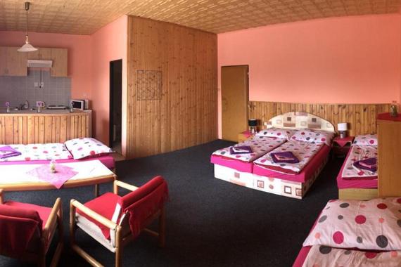 Hotel Na Trojce ** foto 26