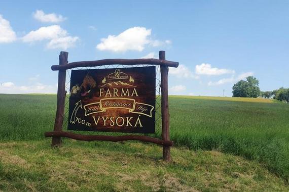 Hotel Farma Vysoká foto 81
