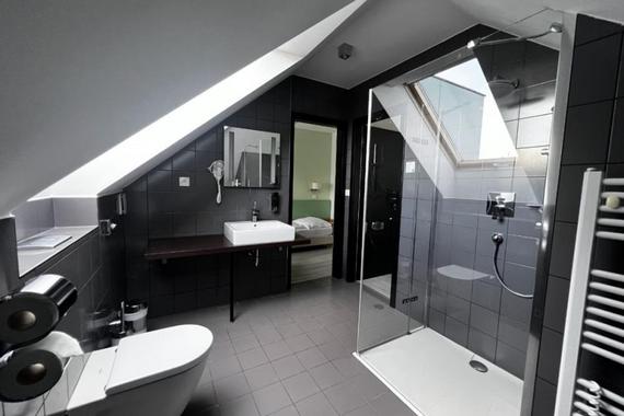 Hotel Žabčice foto 8