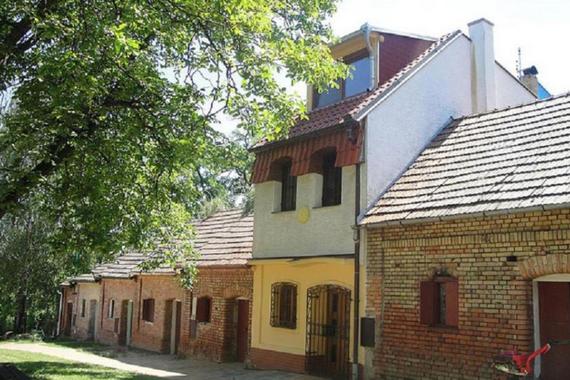 Ubytování nad sklípkem Pod pyramidou foto 26