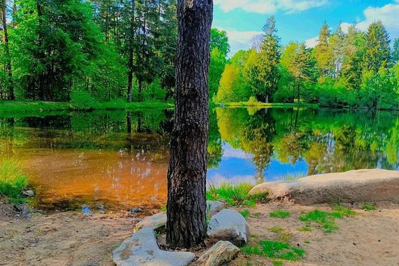 Ubytování u Kapličky foto 36