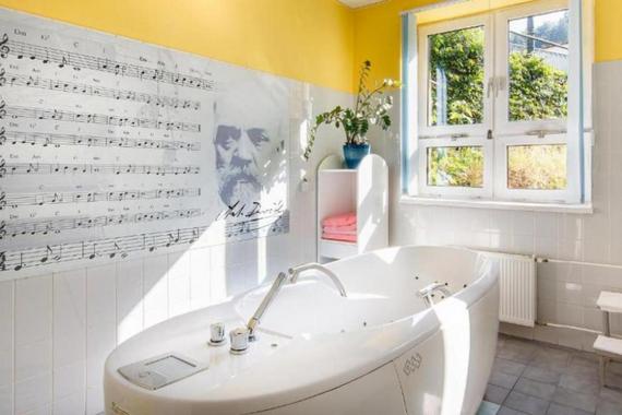 Dvorak Spa & Wellness foto 13