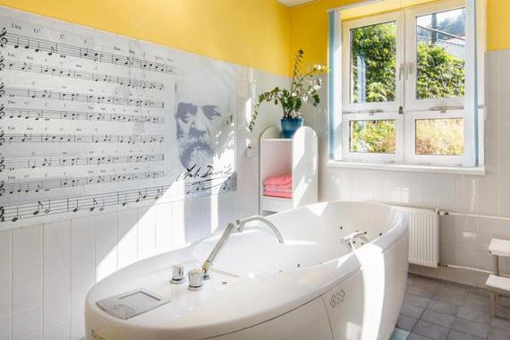 Dvorak Spa & Wellness foto 42