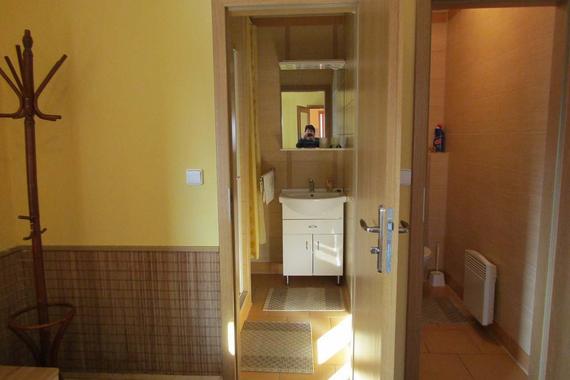 apartm&aacute;n TŘI koupelna