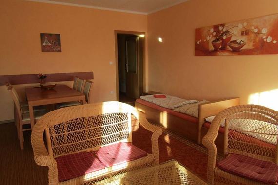 apartm&aacute;n TŘI ob&yacute;vac&iacute; m&iacute;stnost s j&iacute;deln&iacute;m stolem a dv&