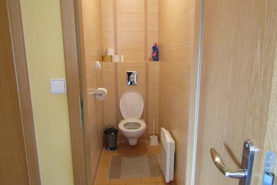 apartm&aacute;n TŘI wc